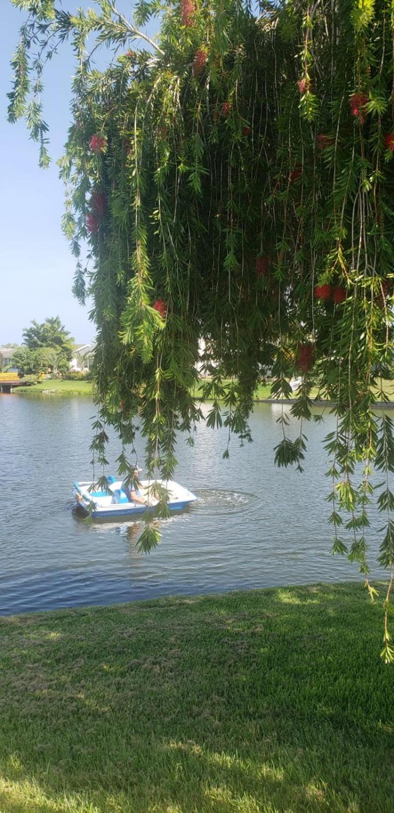 Near Clearwater And Tarpon Spring With Water View Daire Holiday Dış mekan fotoğraf